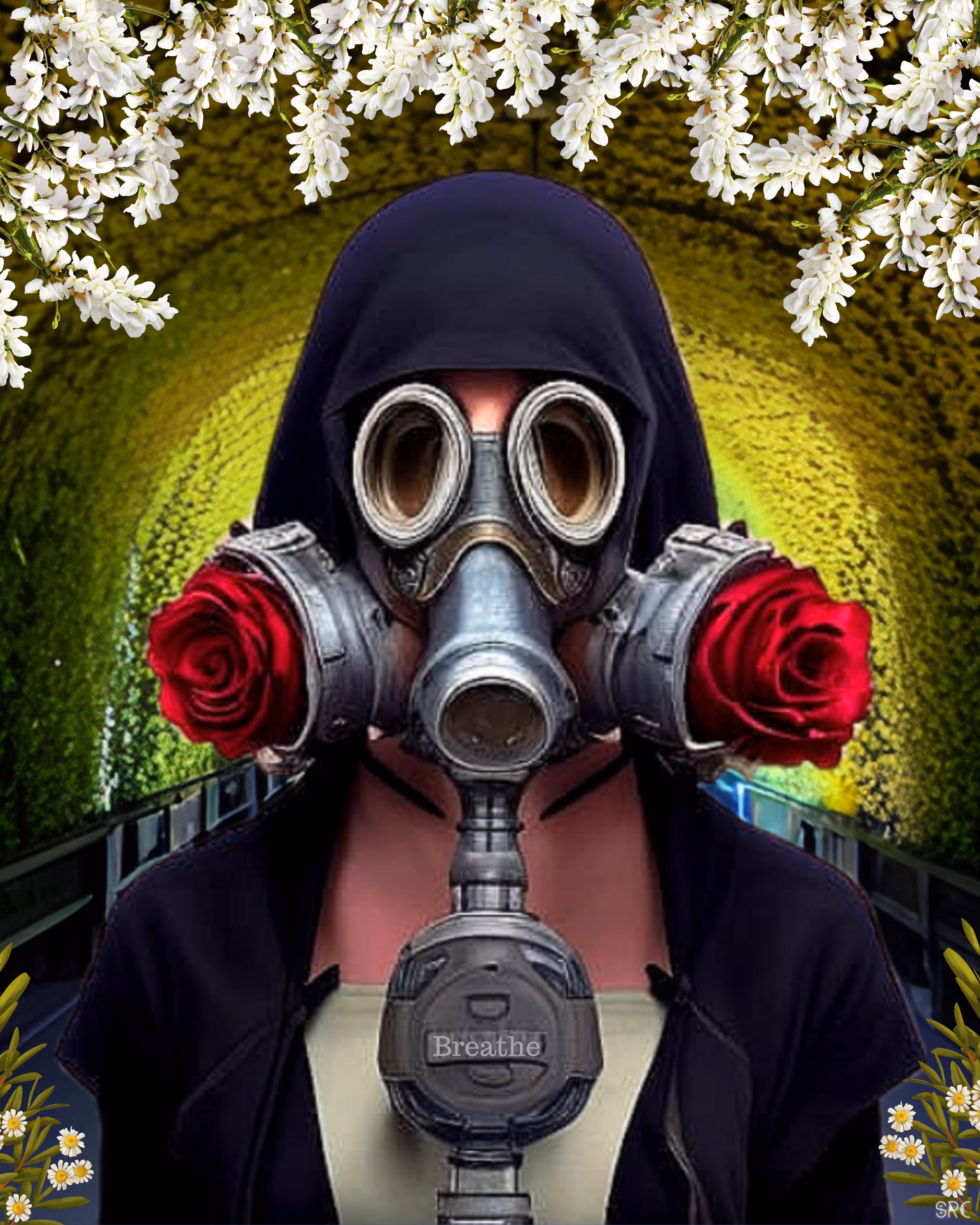Smell the Roses