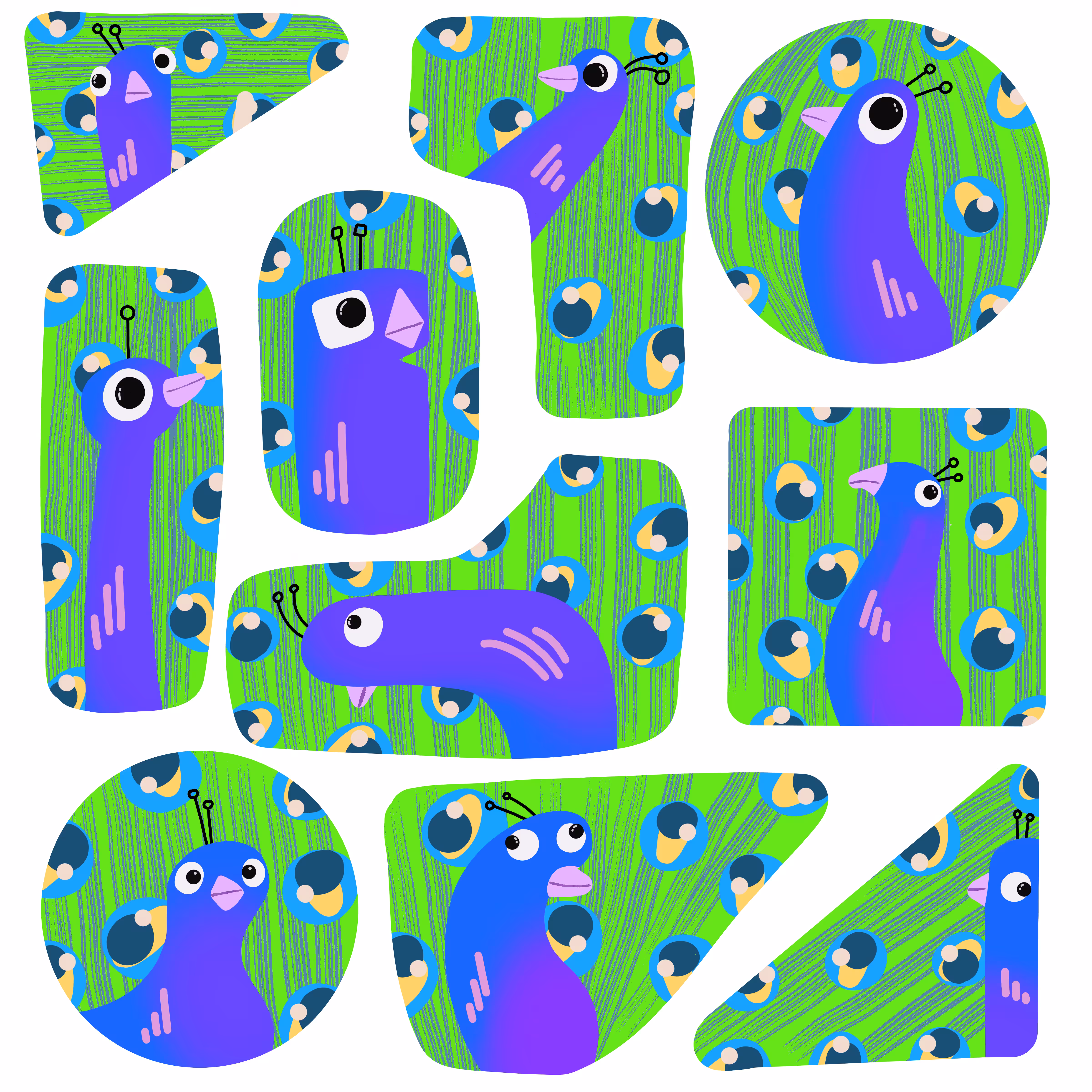 Just some Peacocks!!