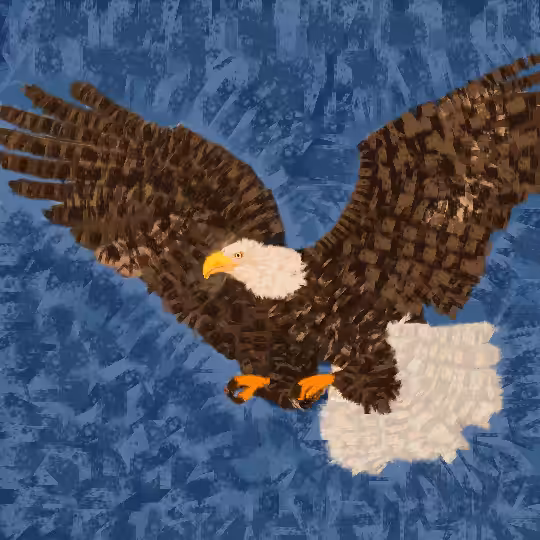 Bald Eagle