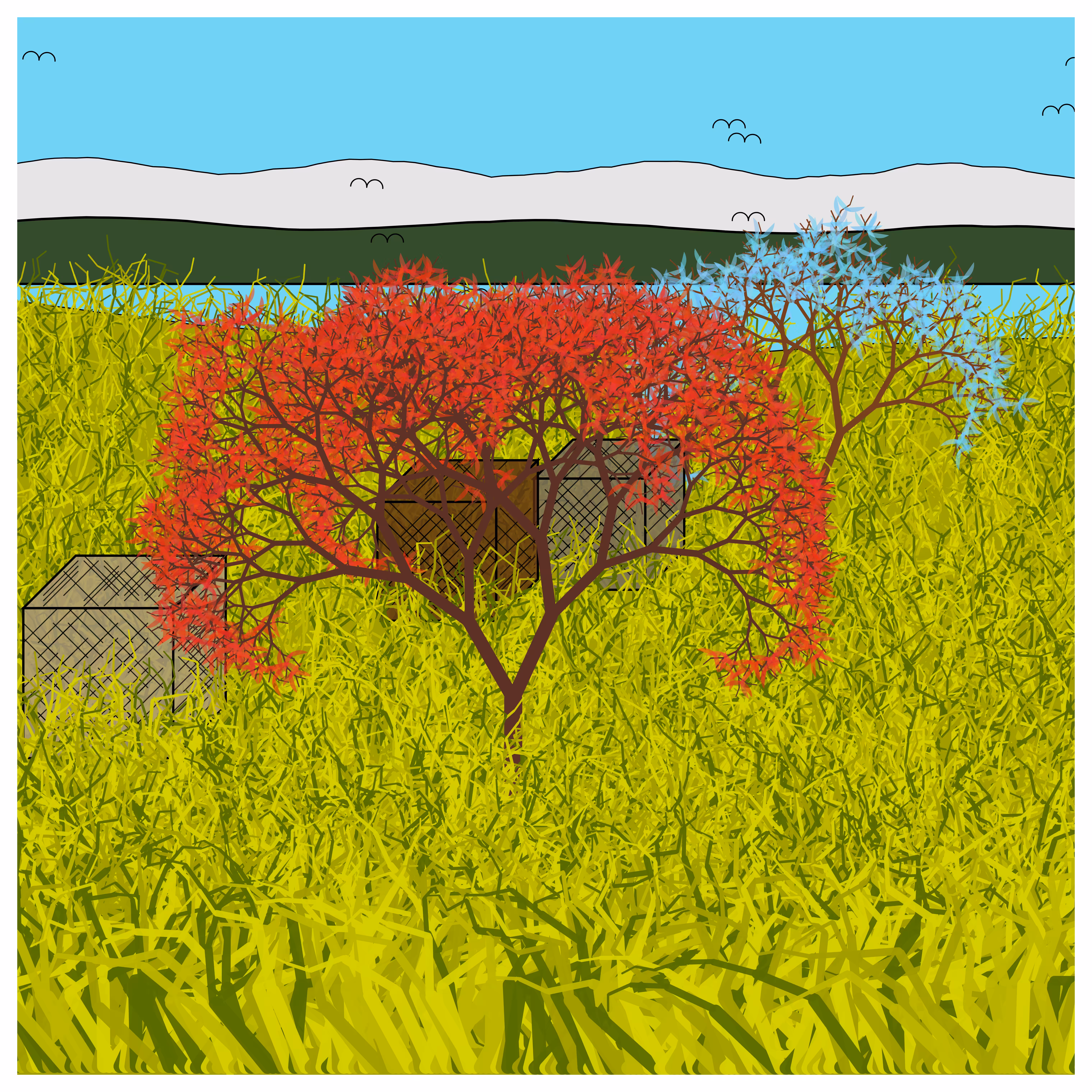 Cube Forest #35
