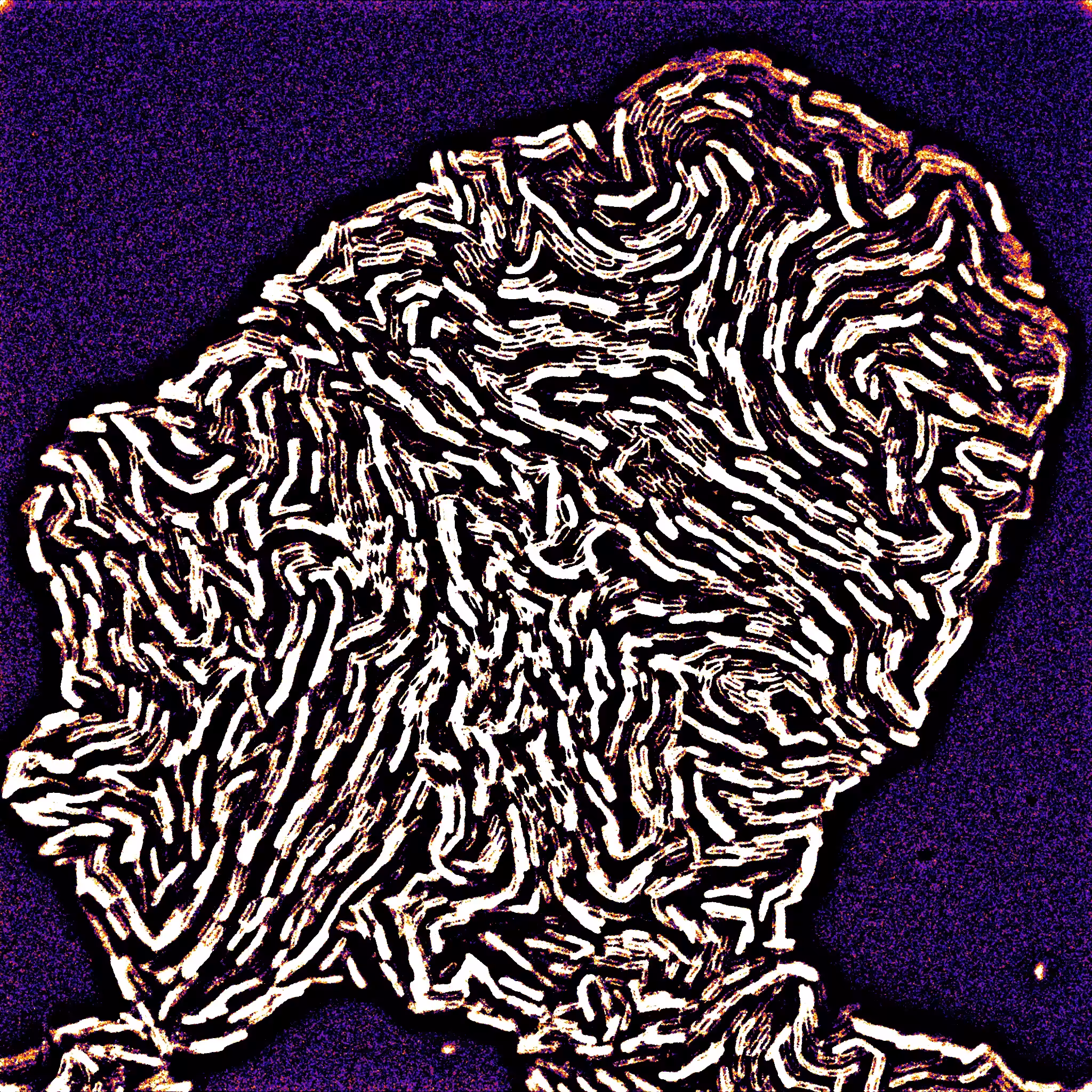 This is not a Van Gogh #3