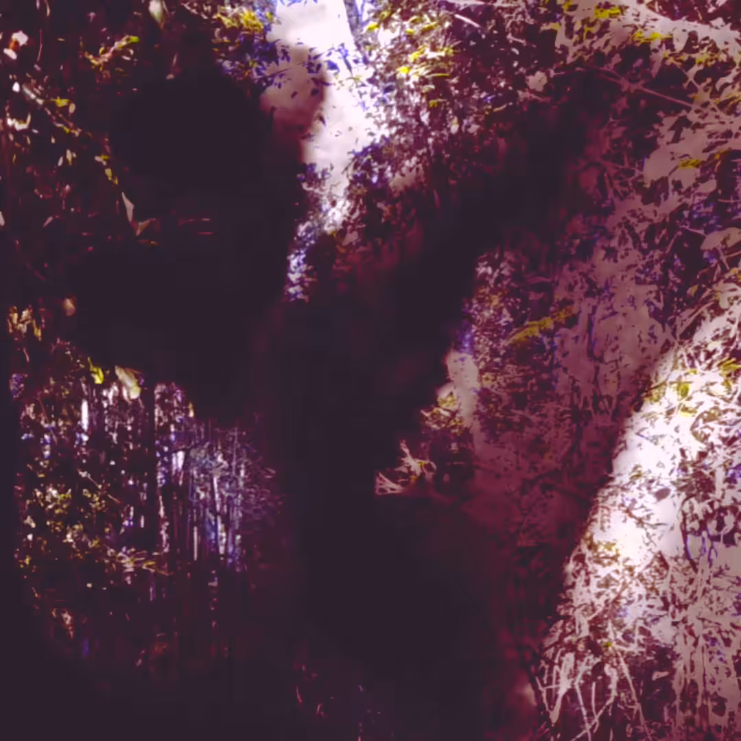 quando_when