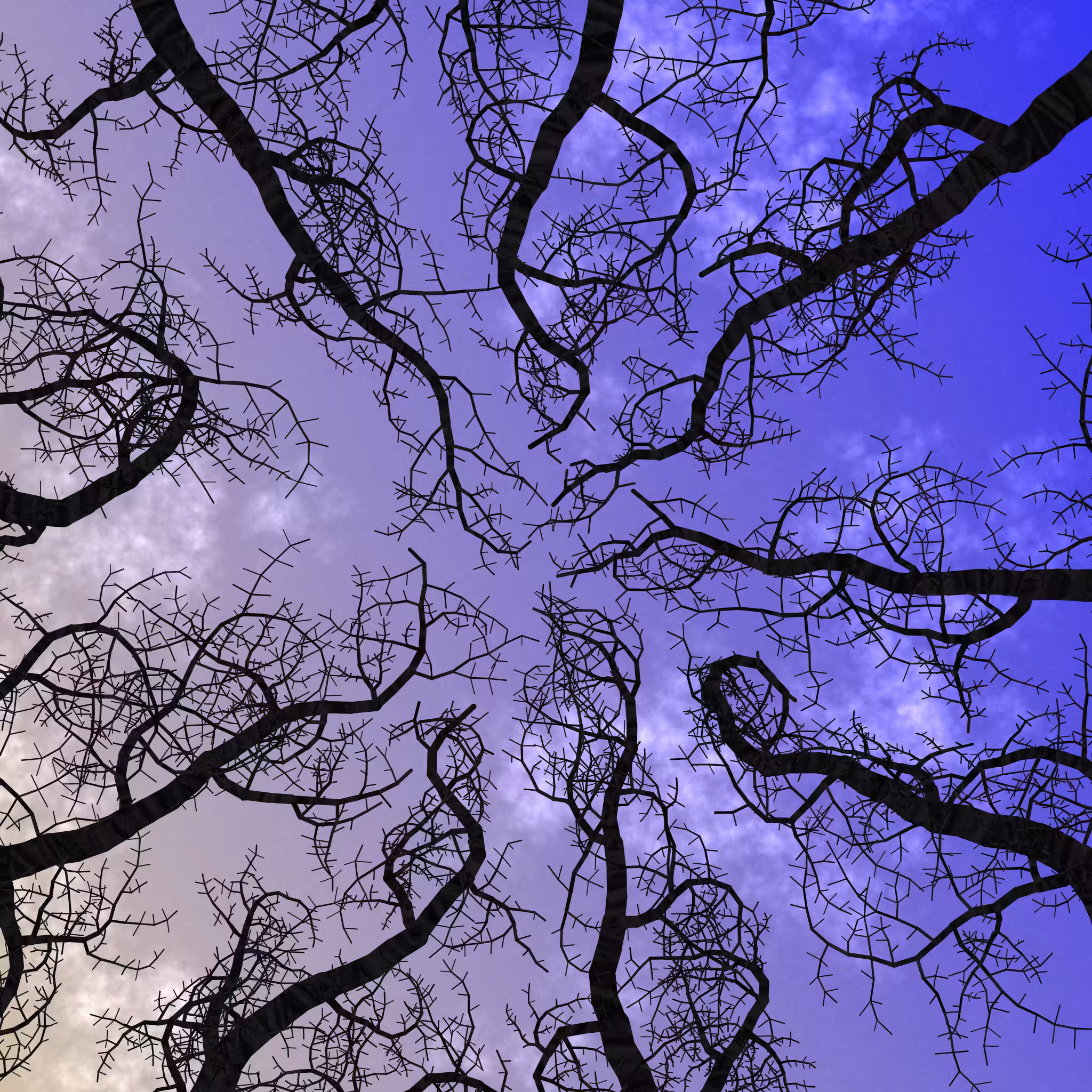 Tree Skyness #119