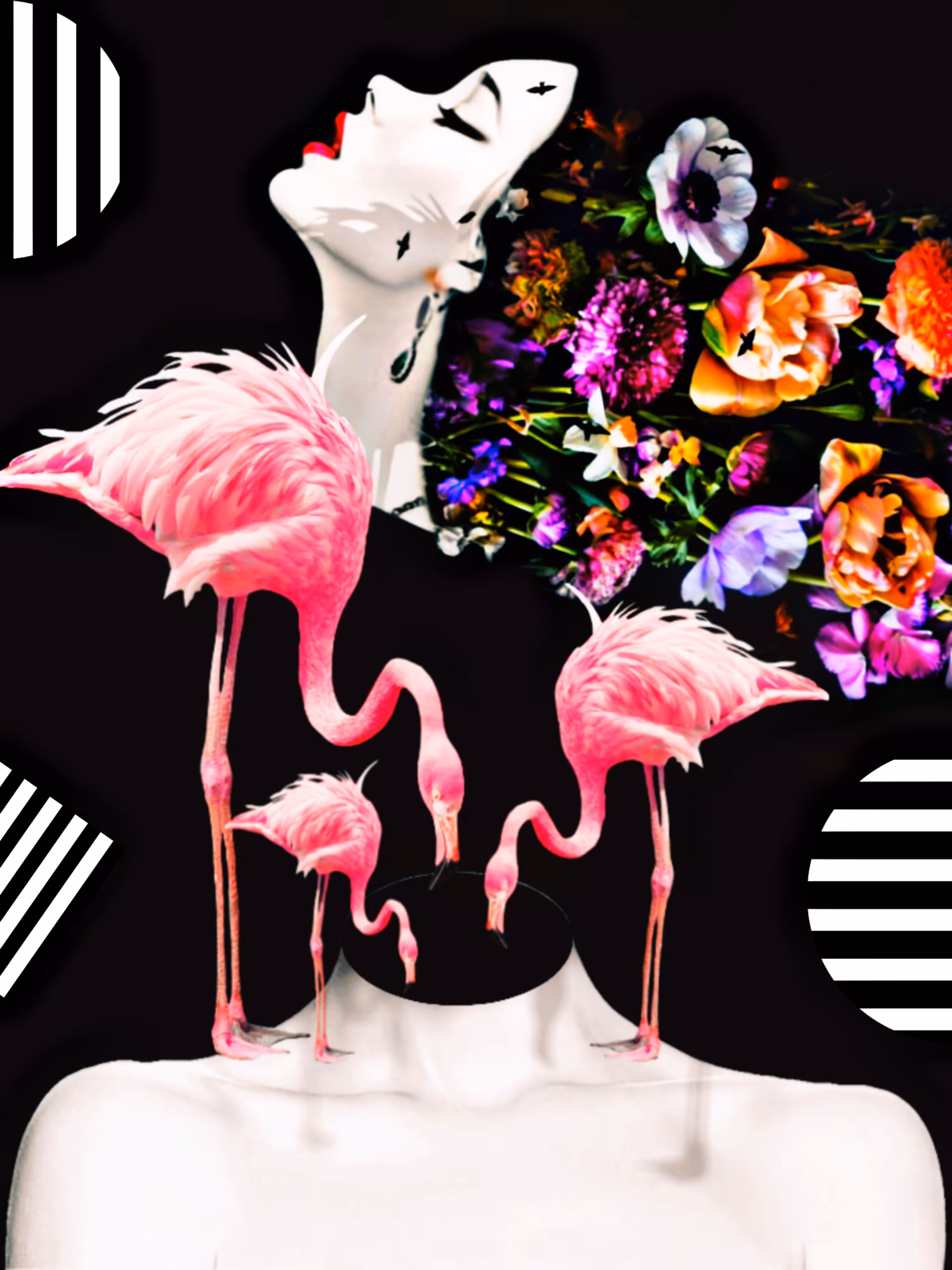 Flamingo 