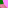 31 #px12