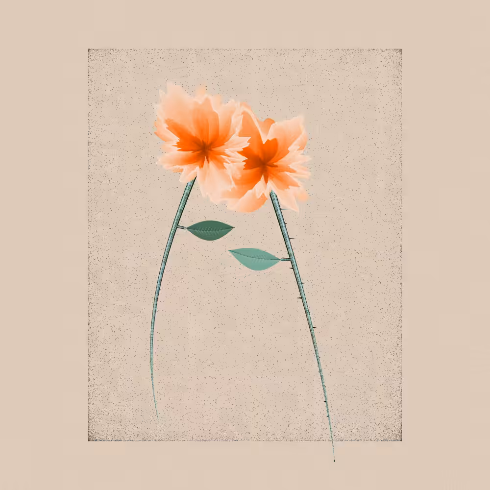 Magnolia #94