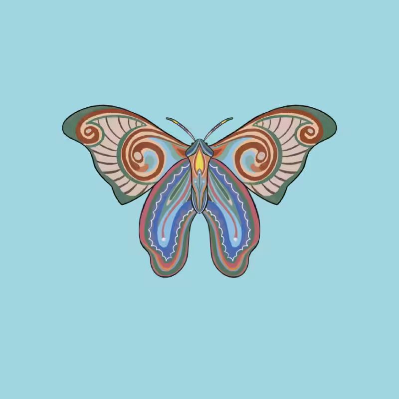 The Moth Experiment 2.0 P2 #12