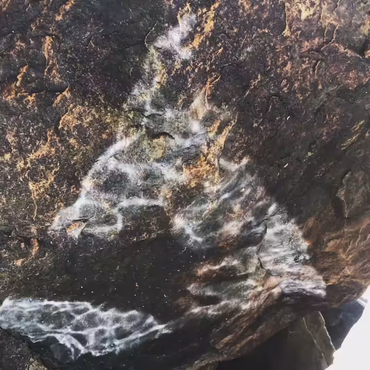 virtual naturally