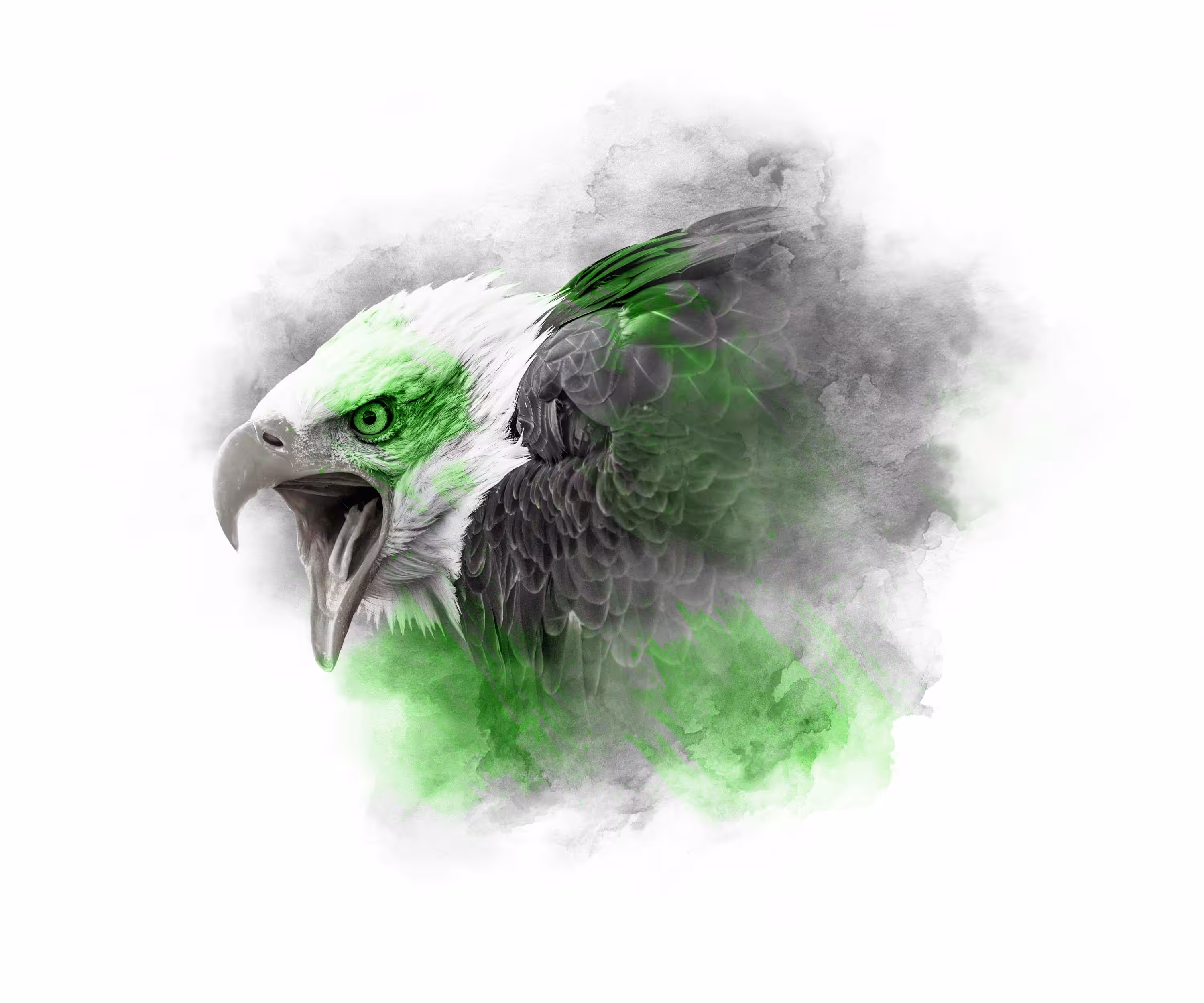 LIME SERIES - BALD EAGLE