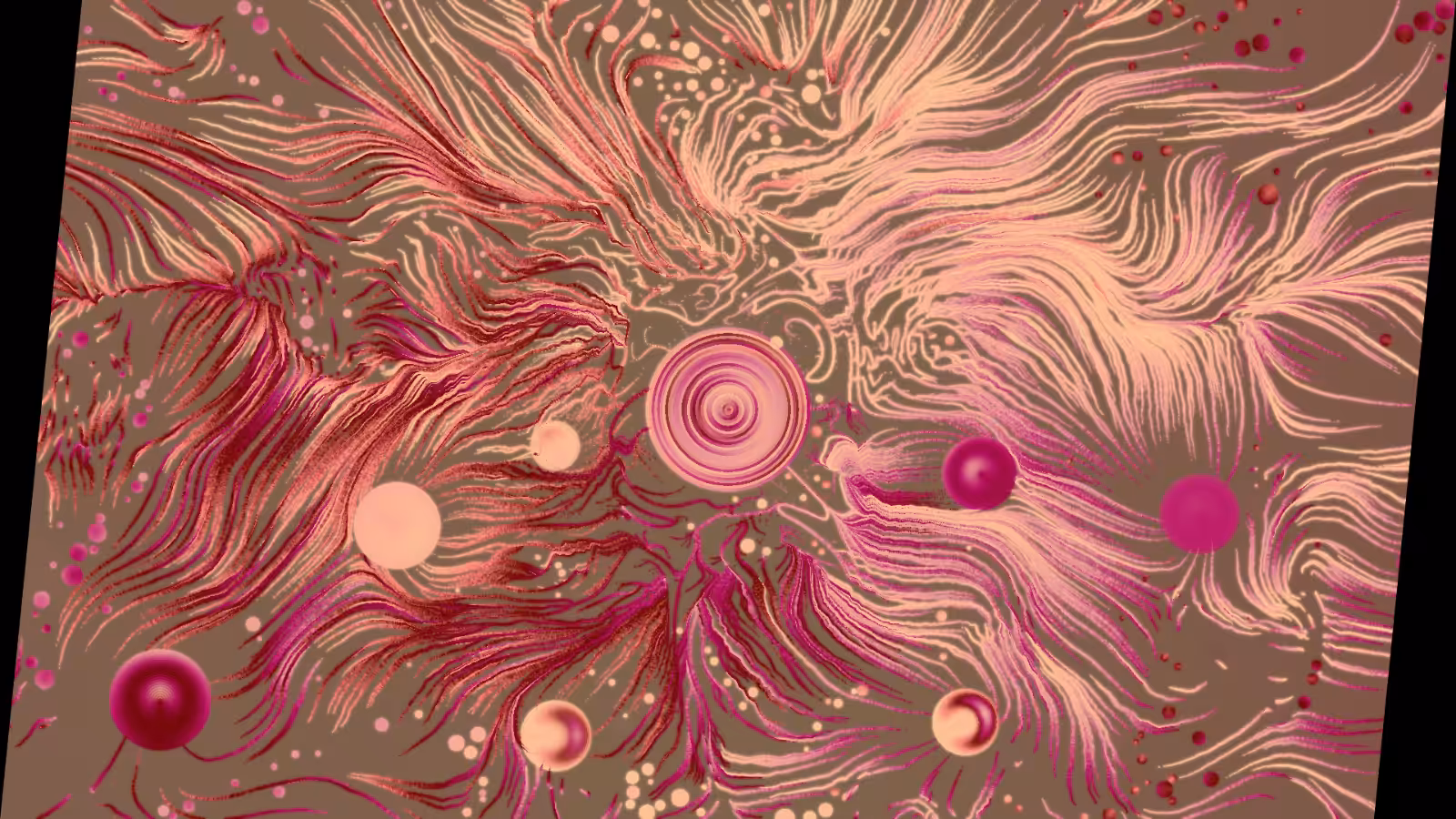 Slices #7000123