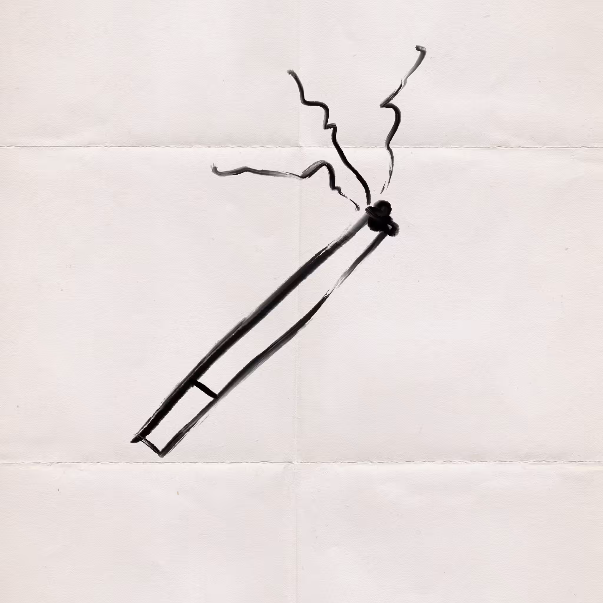 Cigar