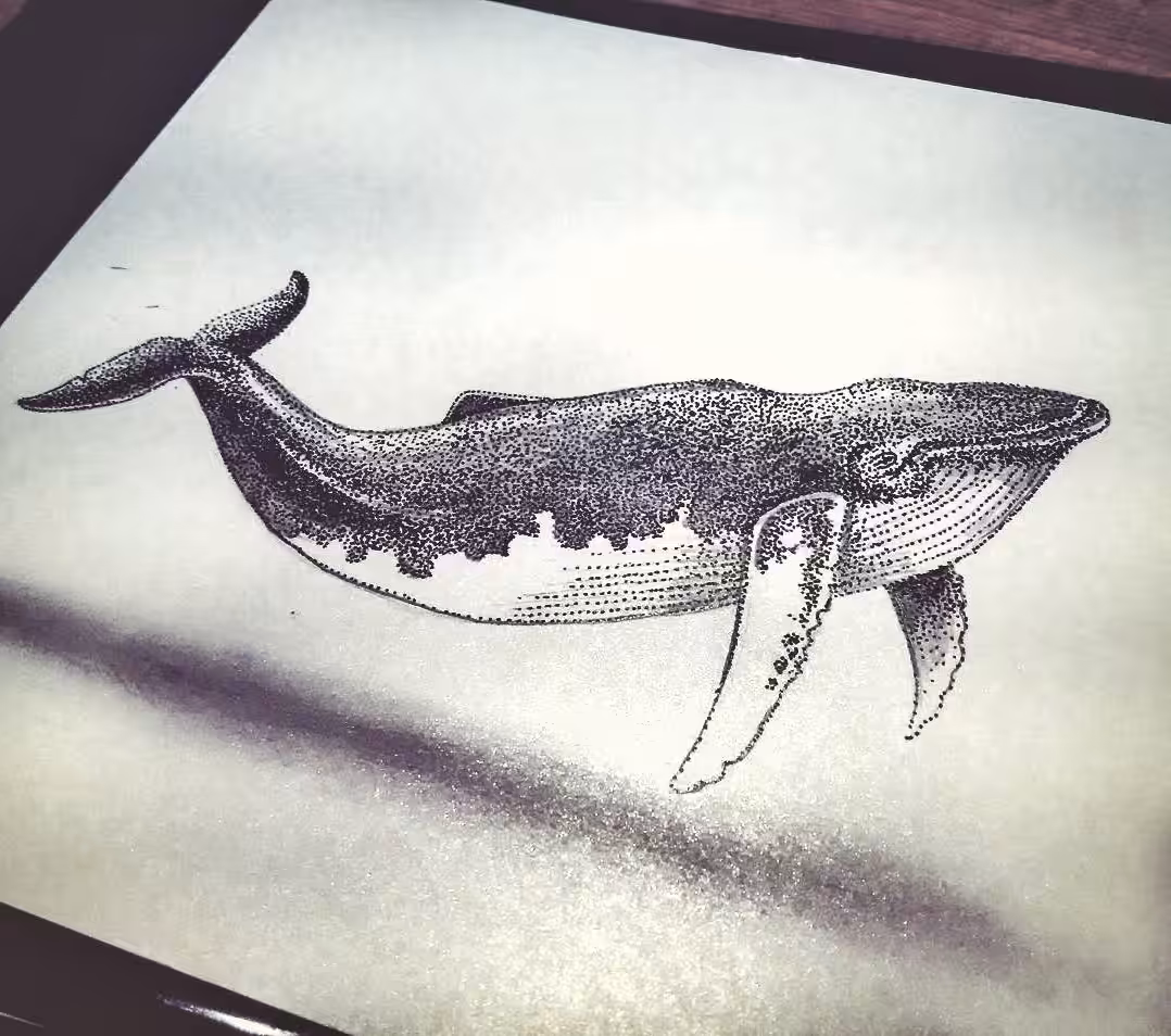 The biggest whale