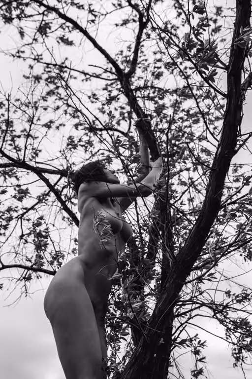 Blowing in the Wind
