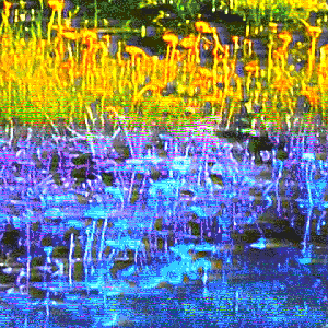 MEADOW
