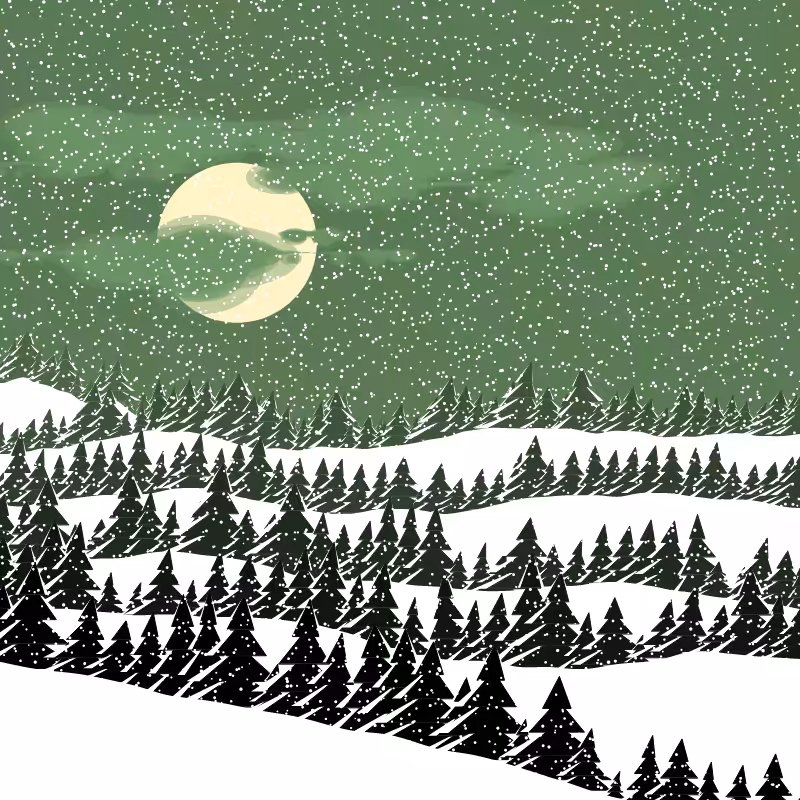 Winterland #151