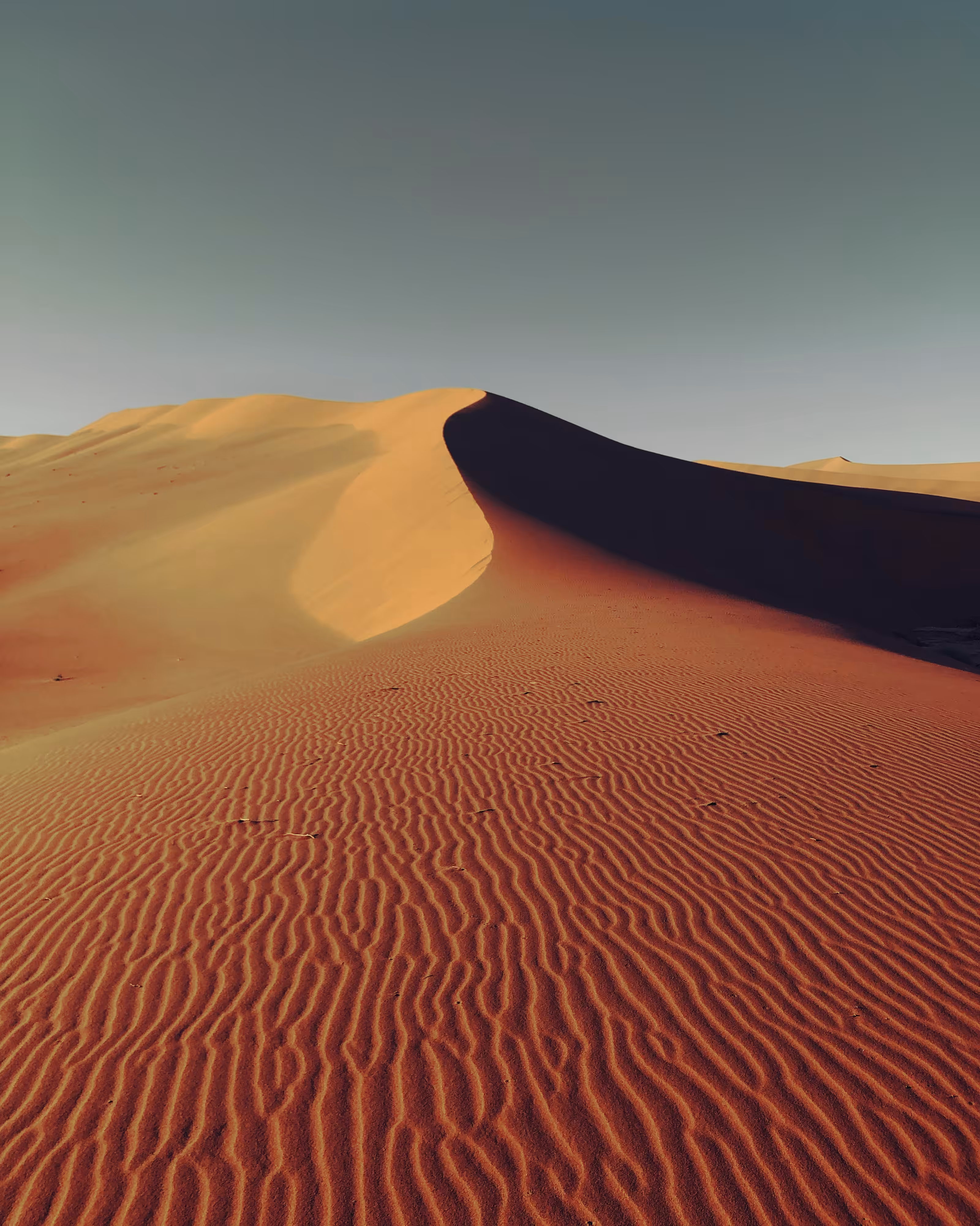 Dune Texture