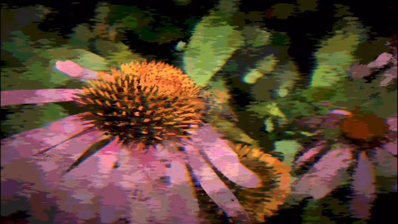 From Diaries of a Trippy Artist