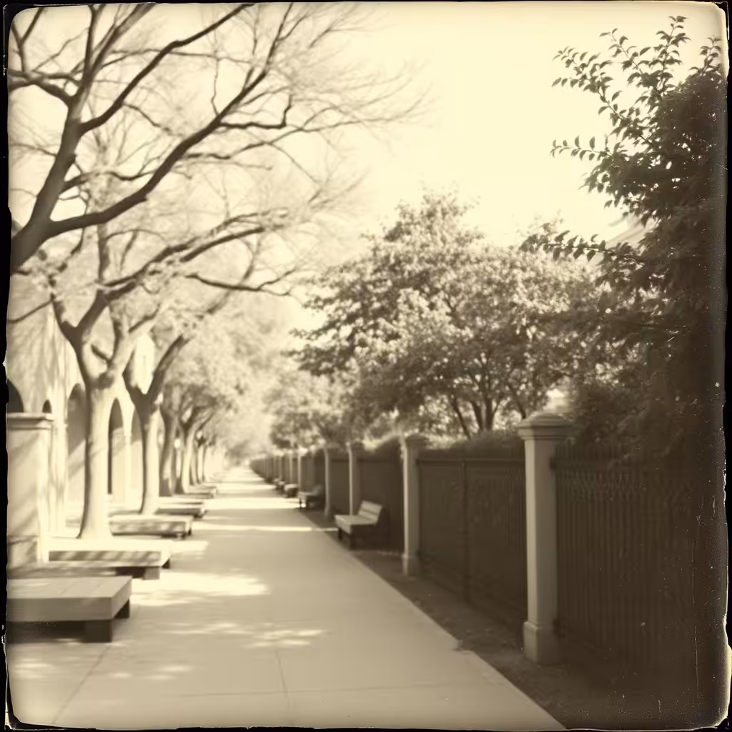 A Lane of Memories