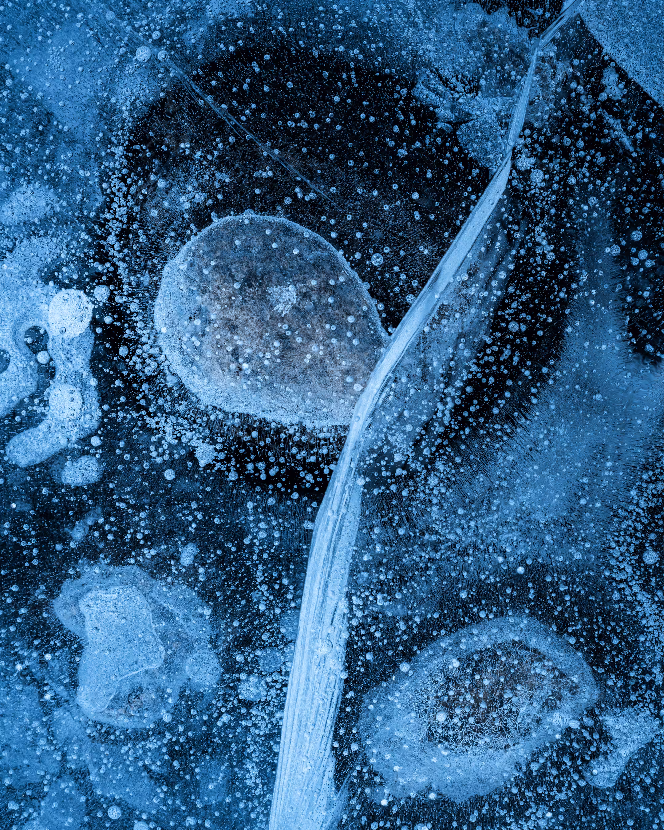 Elements #15 - Celestial Bodies