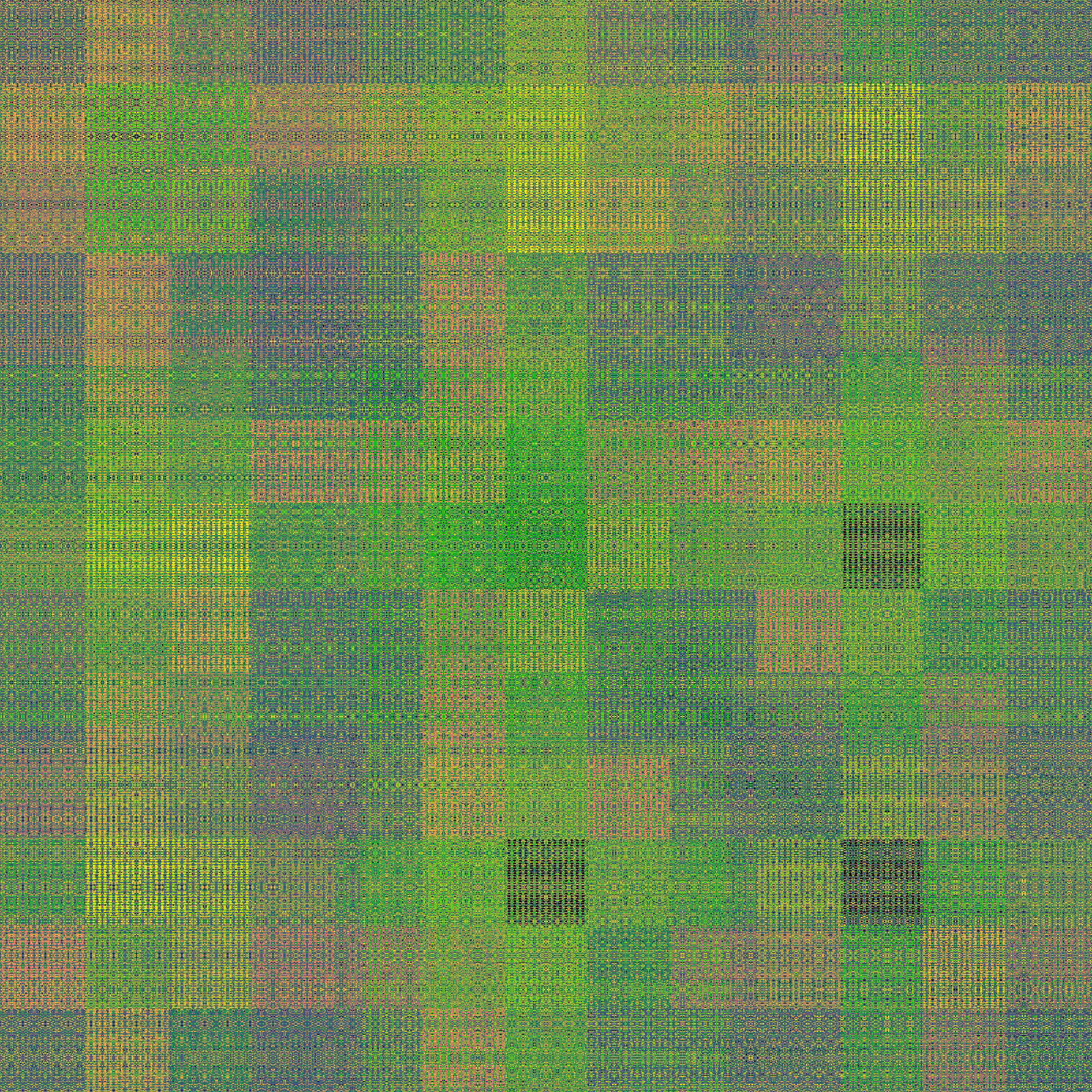 Chipped Dogtooth #14