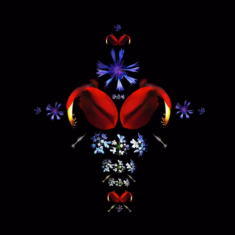 SCORPIO -the star-
