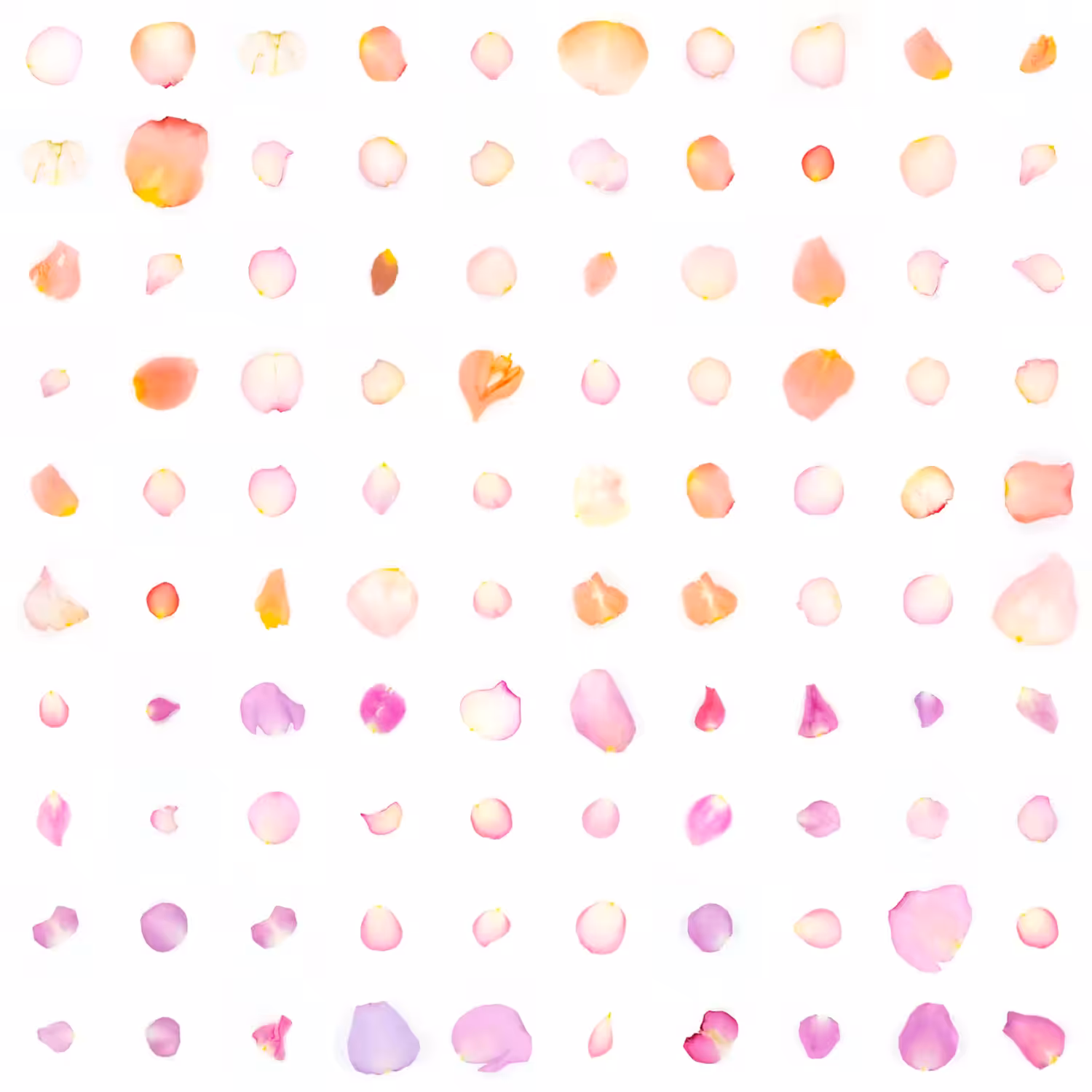 Infinite Petals 10x10#2824