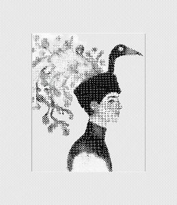 Bird of Mind