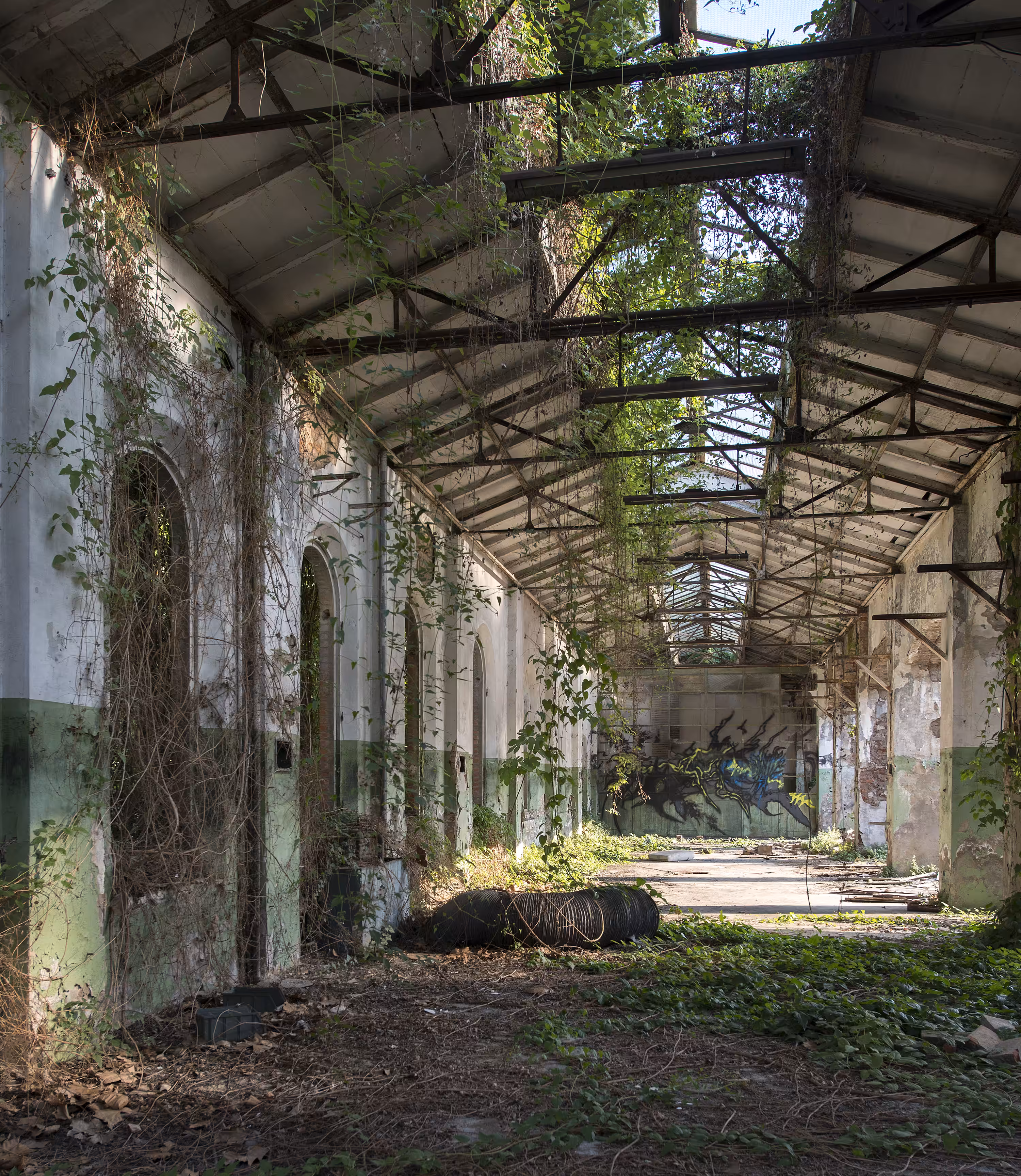 Urban Archaeology #008 - In Our Nature