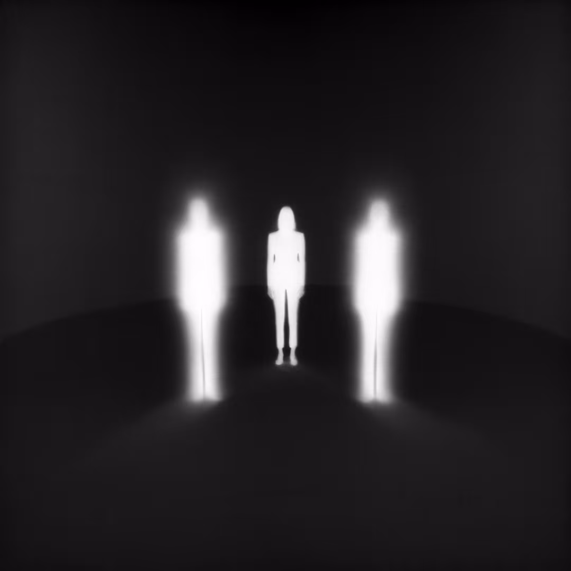 Contradictory Symmetry
