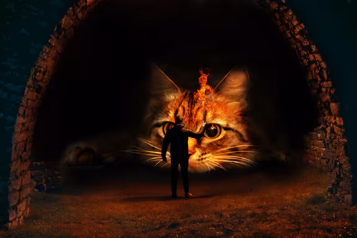 The Cave Cat