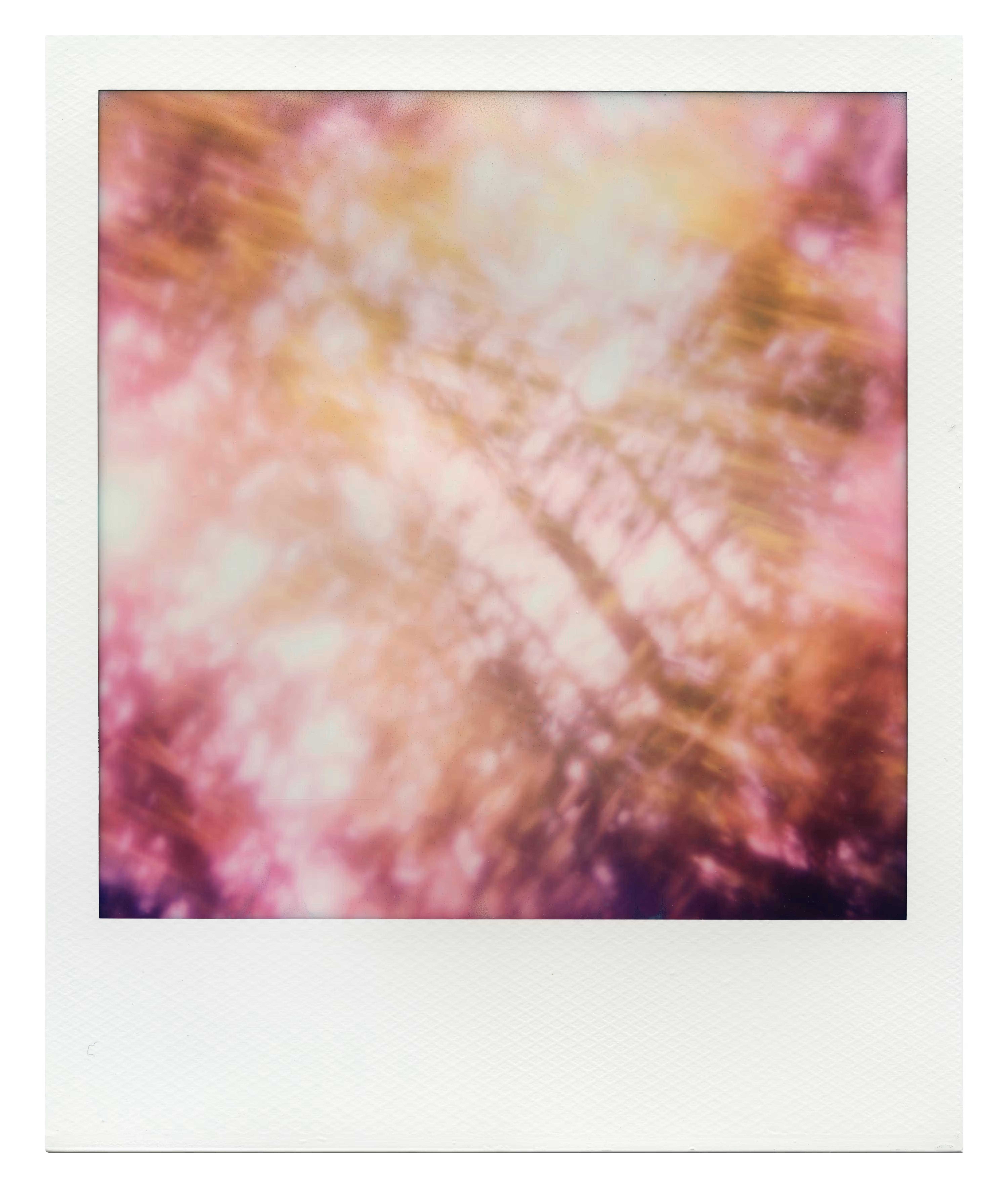 Endless Summer  |  53  | Manifestation