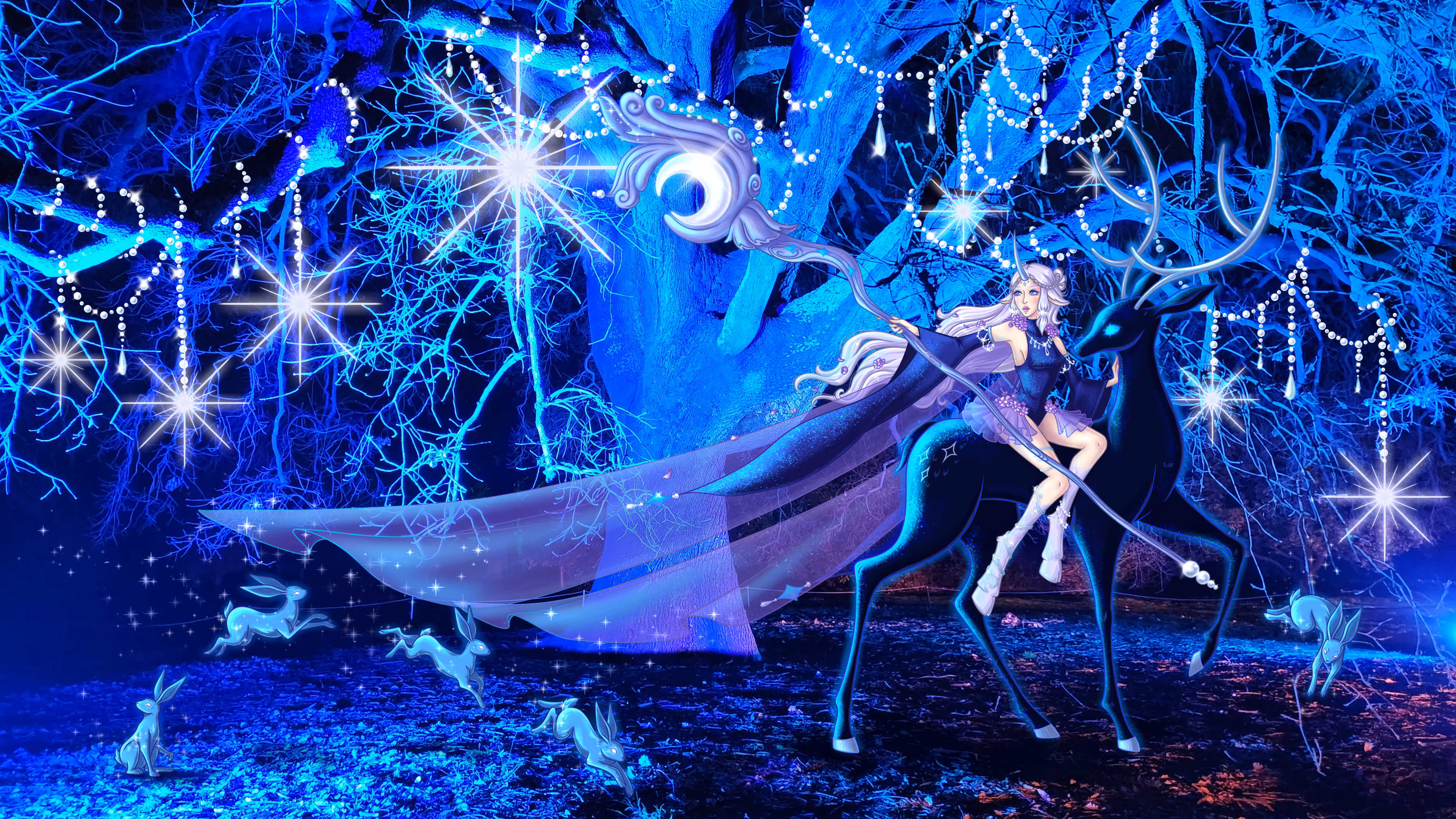 Heart of The Night Forest