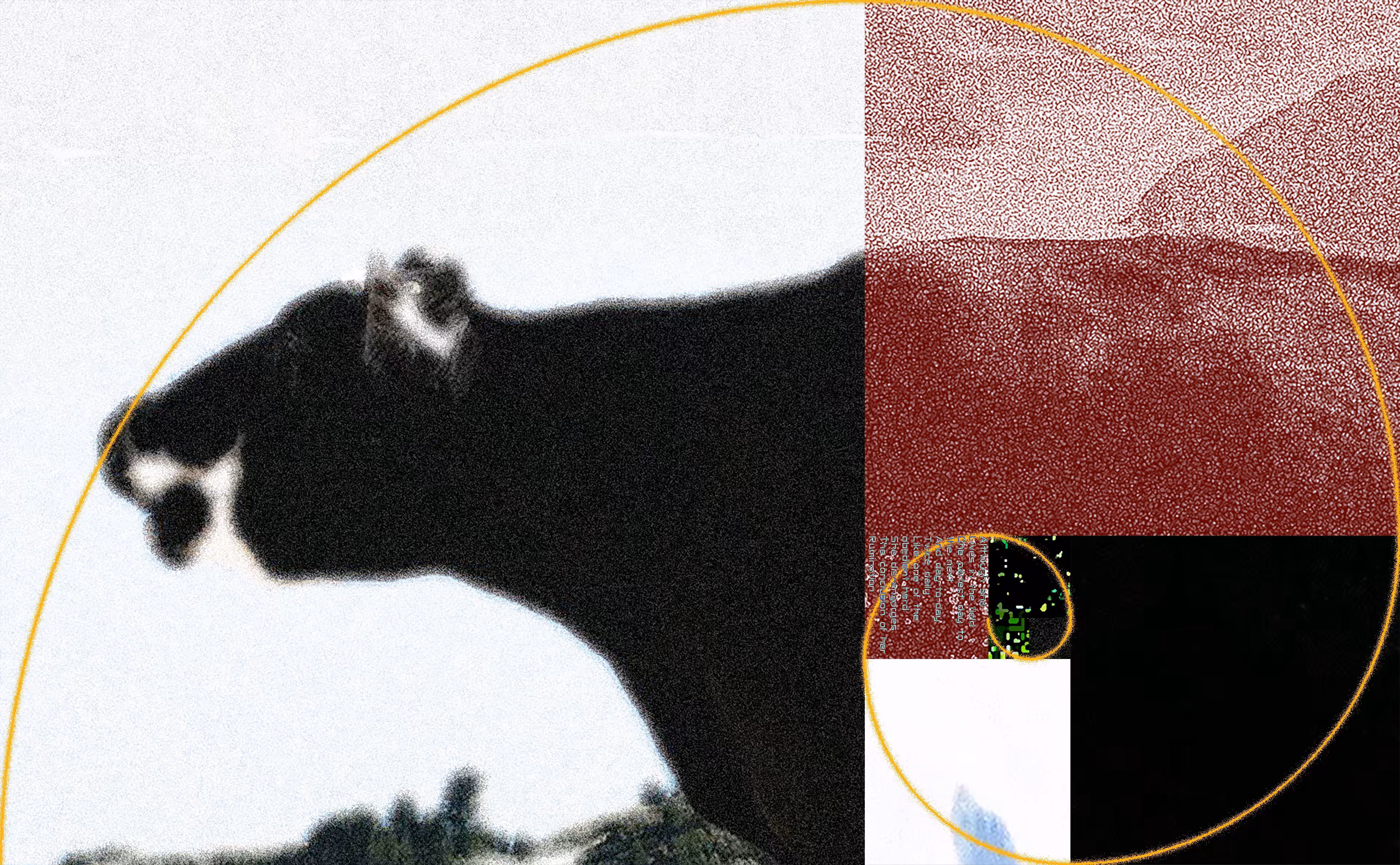 The Golden Cow (She just says, "Moo!" She farts.): She just says, "Moo!" #61