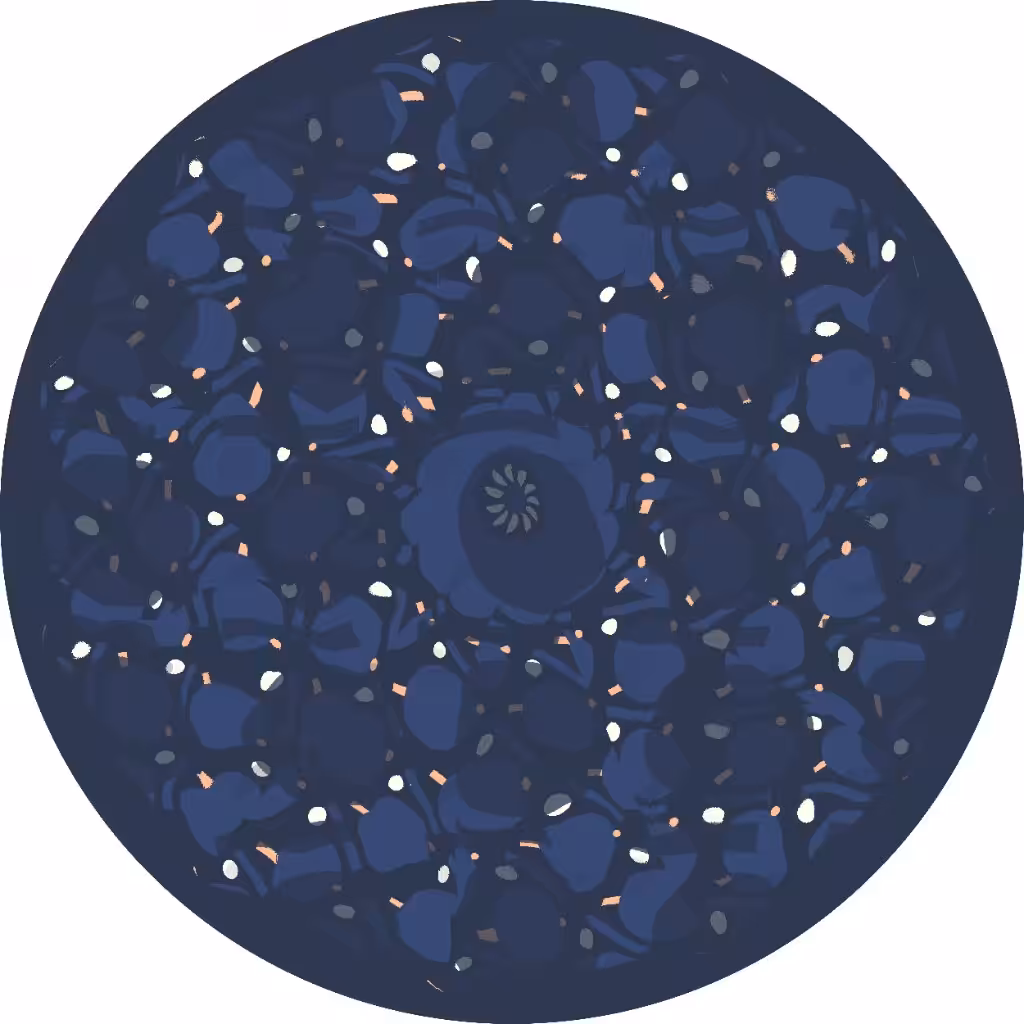 Spiraling through time: The night sky
