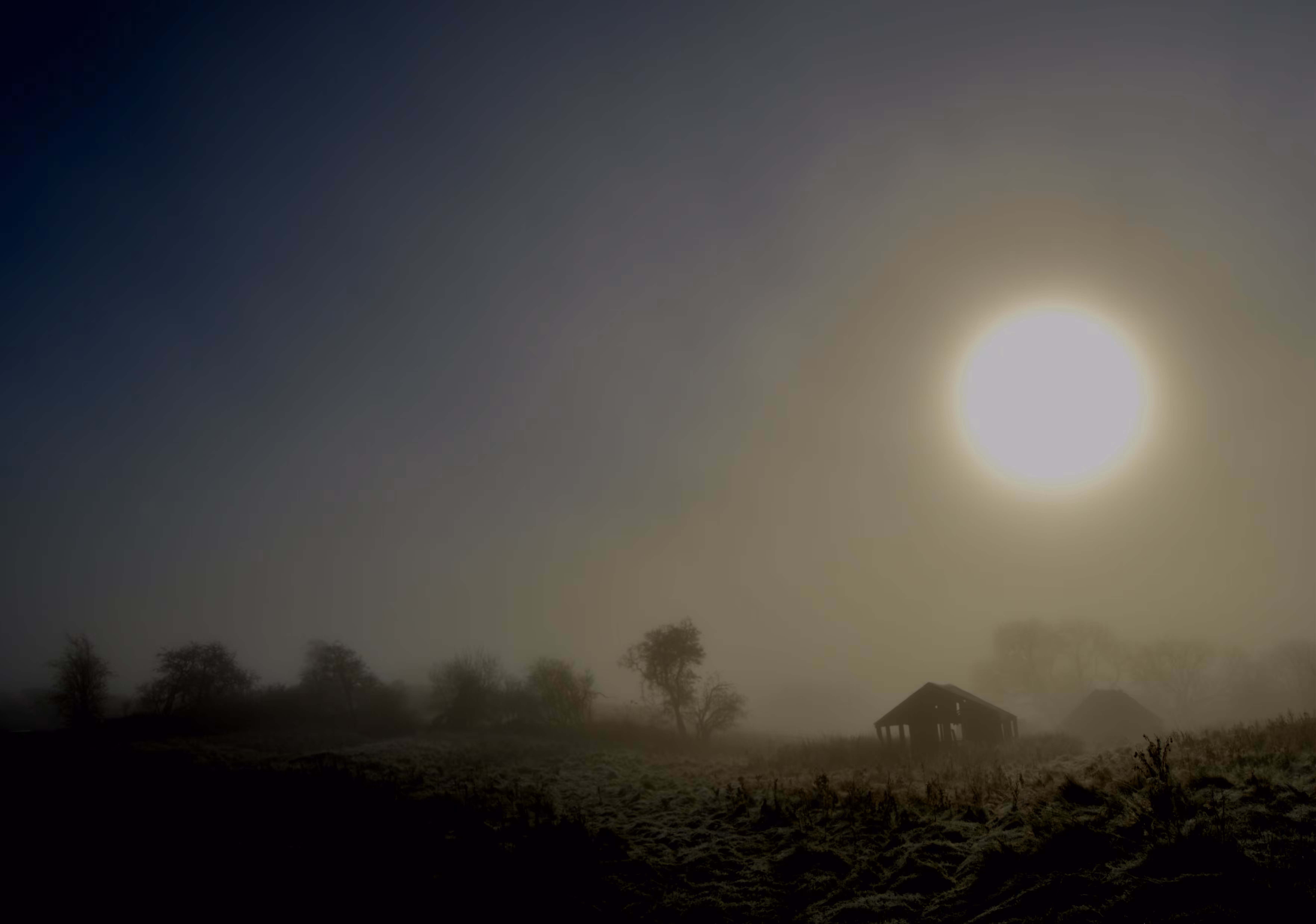 Landscape 1