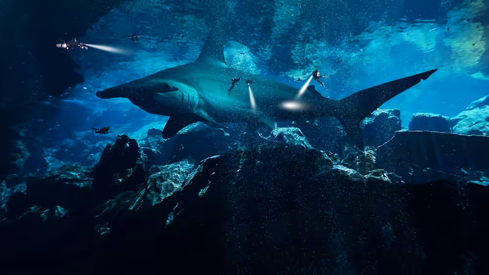 Mega Shark Cave Dive