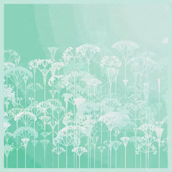 SERENITY #11