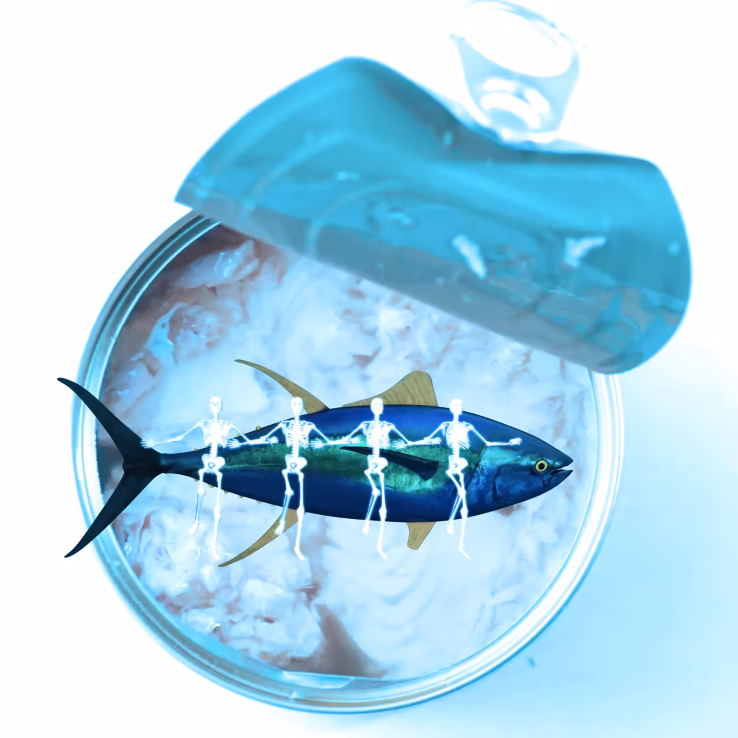 Tuna Can Can