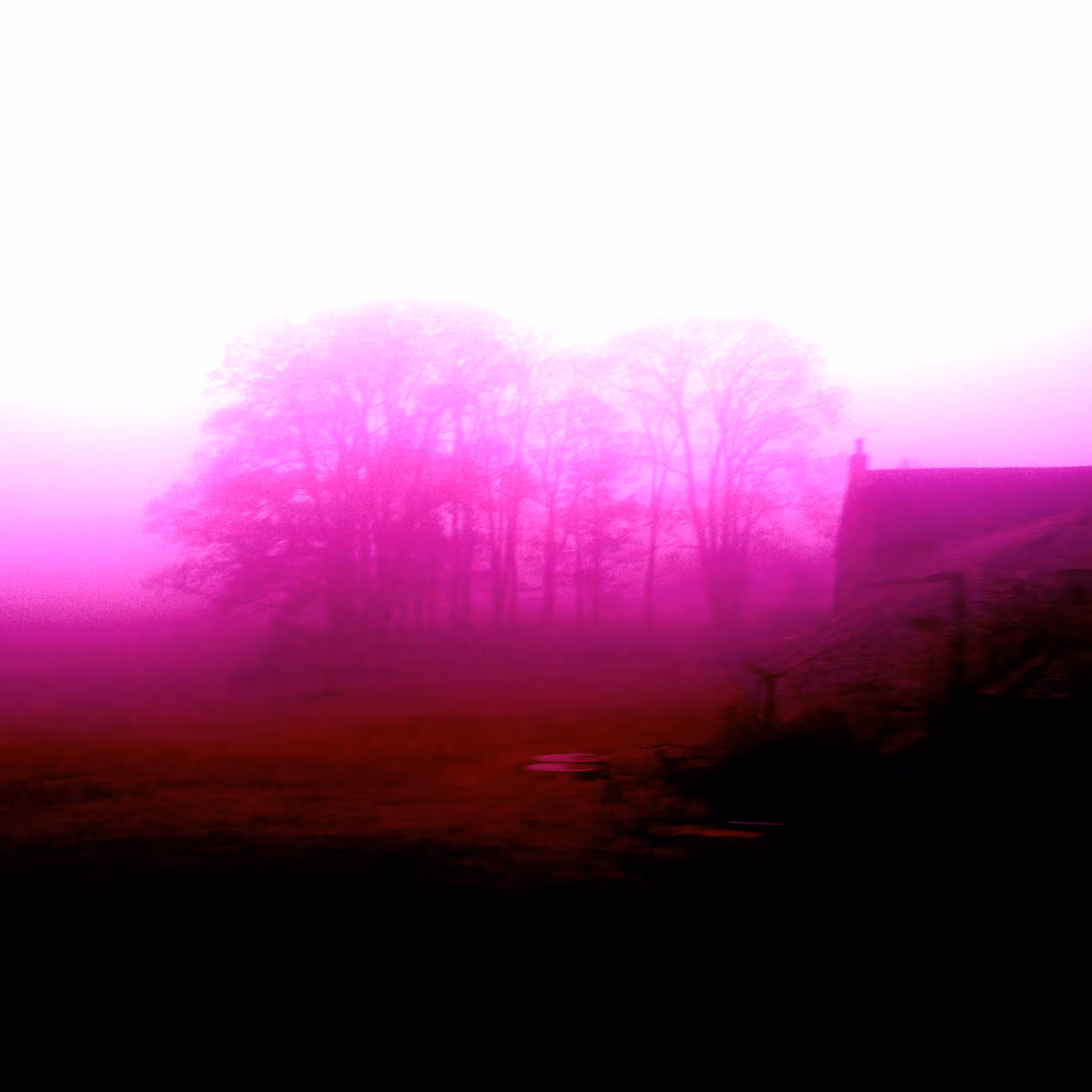 FELL-CLOUD #22