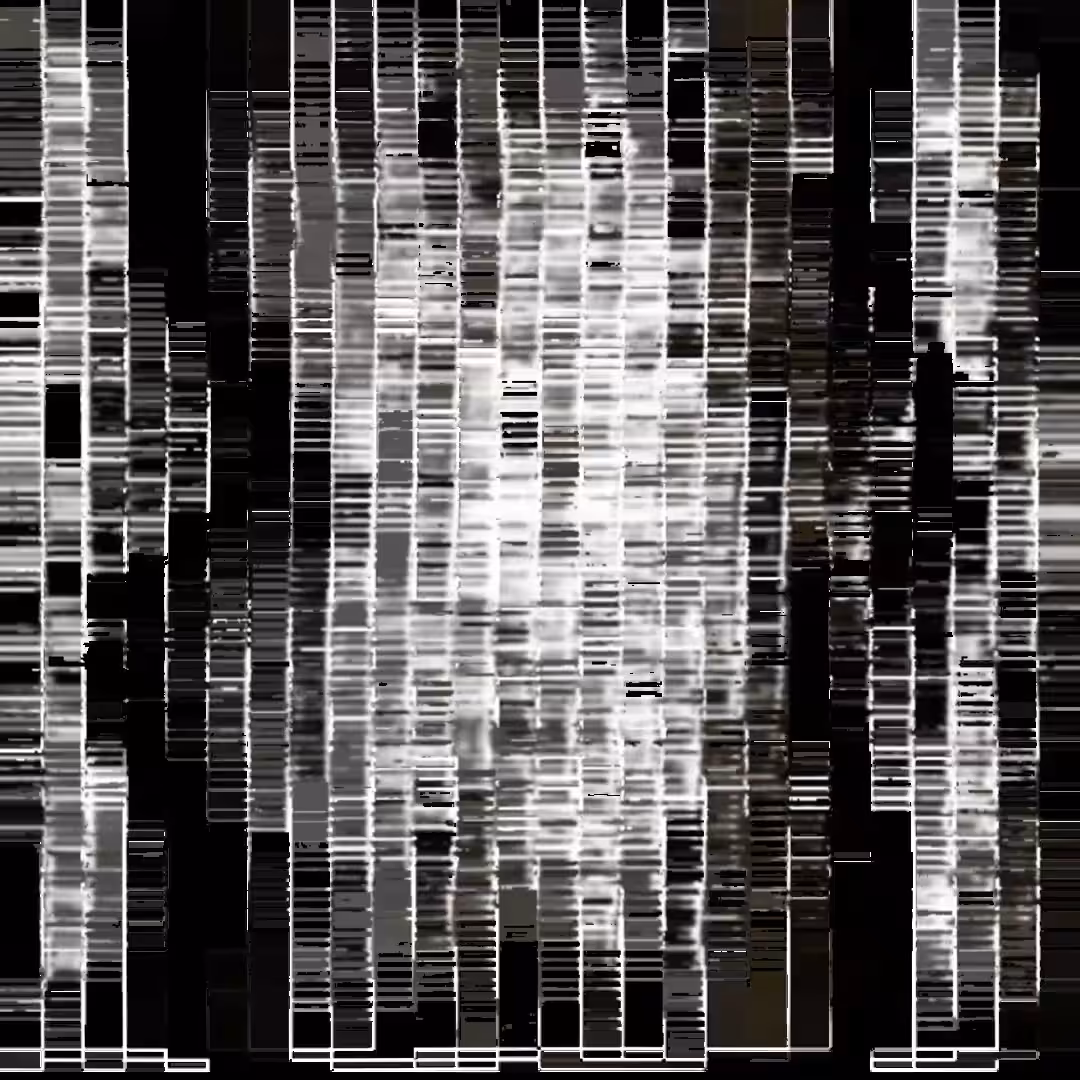 Aphex Bits