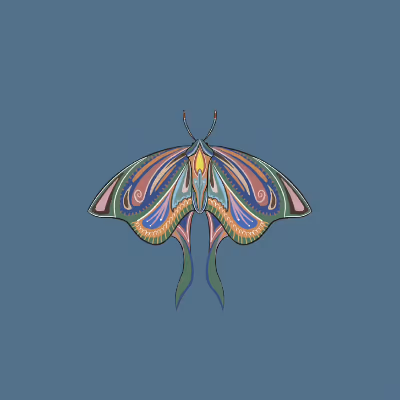 The Moth Experiment 2.0 P2 #28