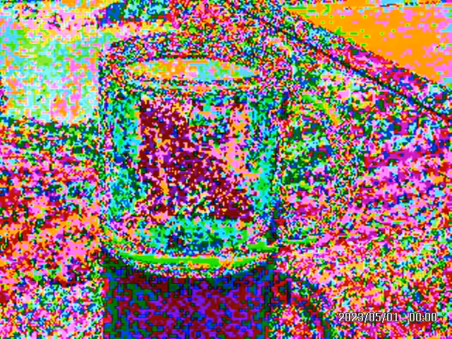 Glass Mug