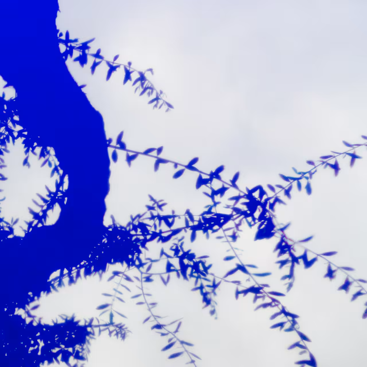 Out of the blue