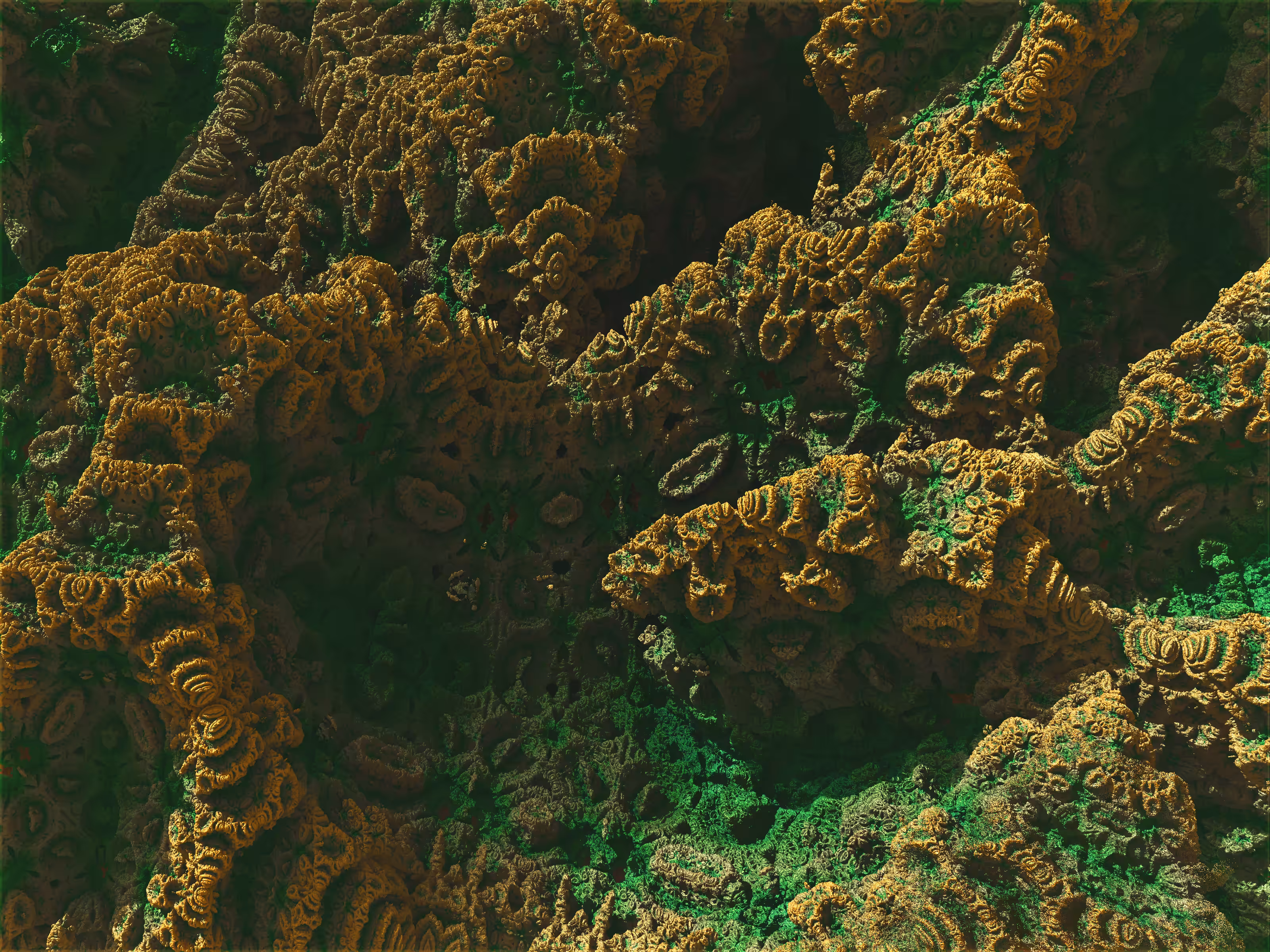 //Fractal Forest 003
