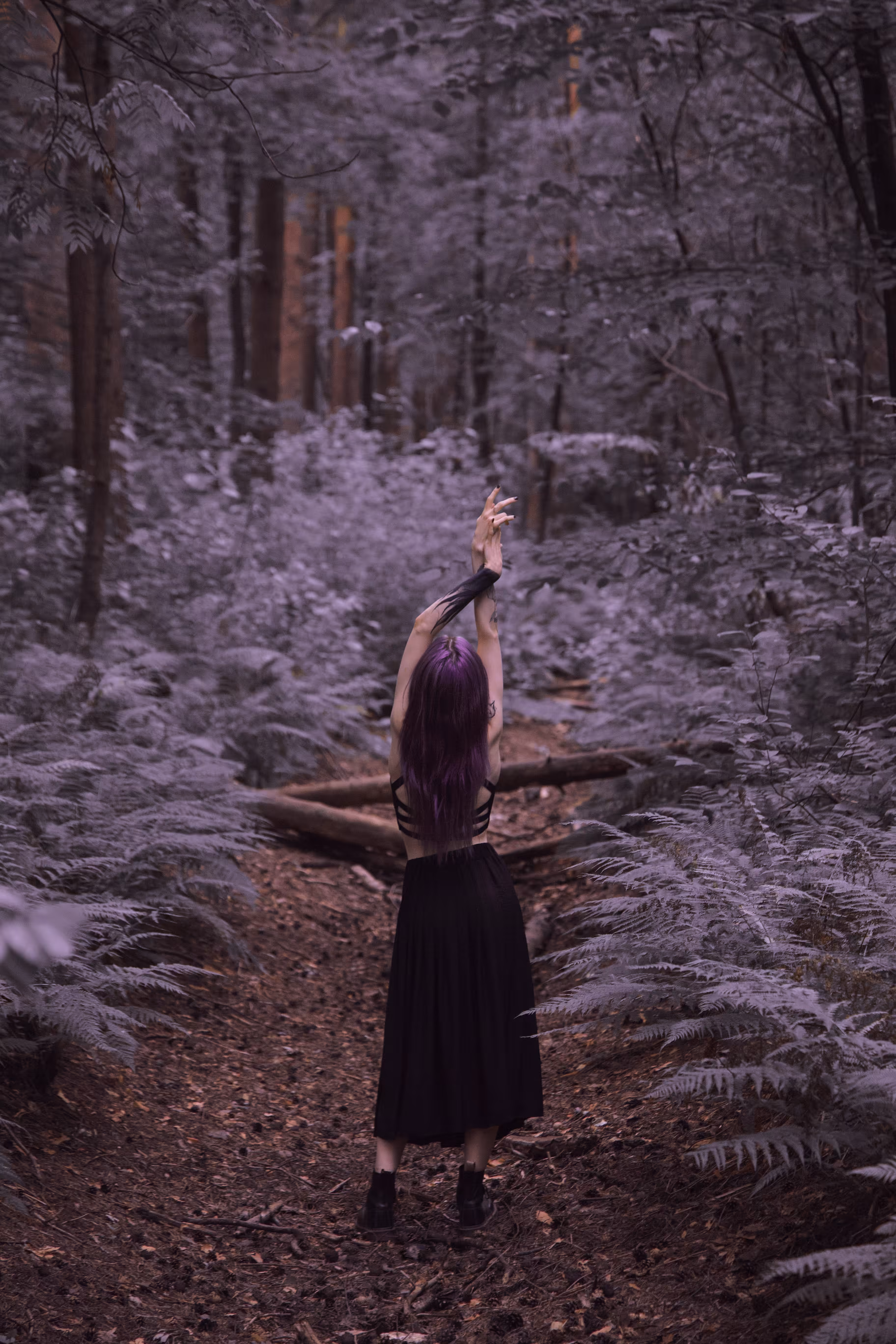 Witchy forest #1