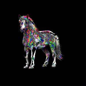 Year of the Fire Horse: Going Nowhere