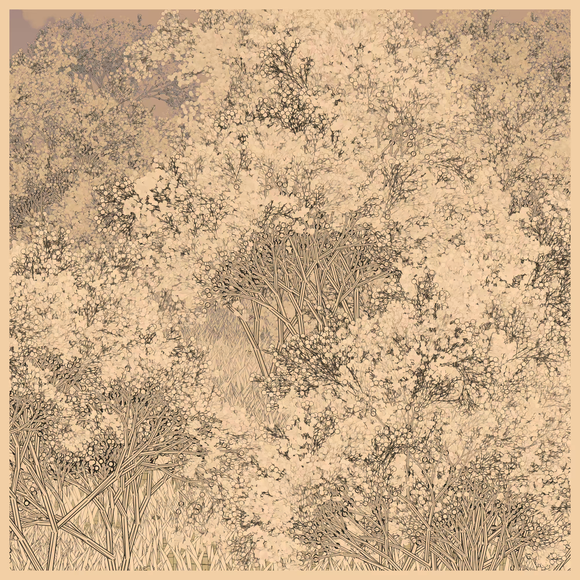 Natural order.chaos #161