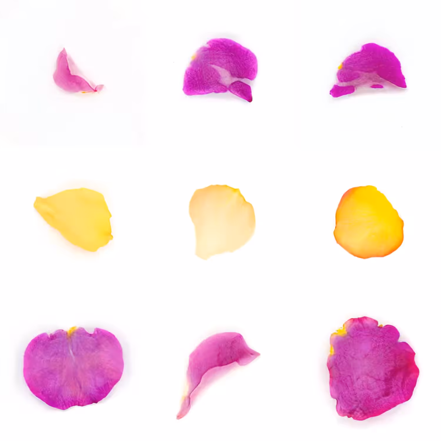 Infinite Petals 3x3#20151