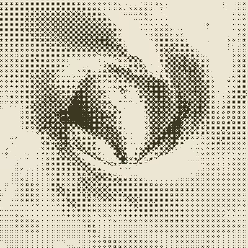 Down the Drain #137