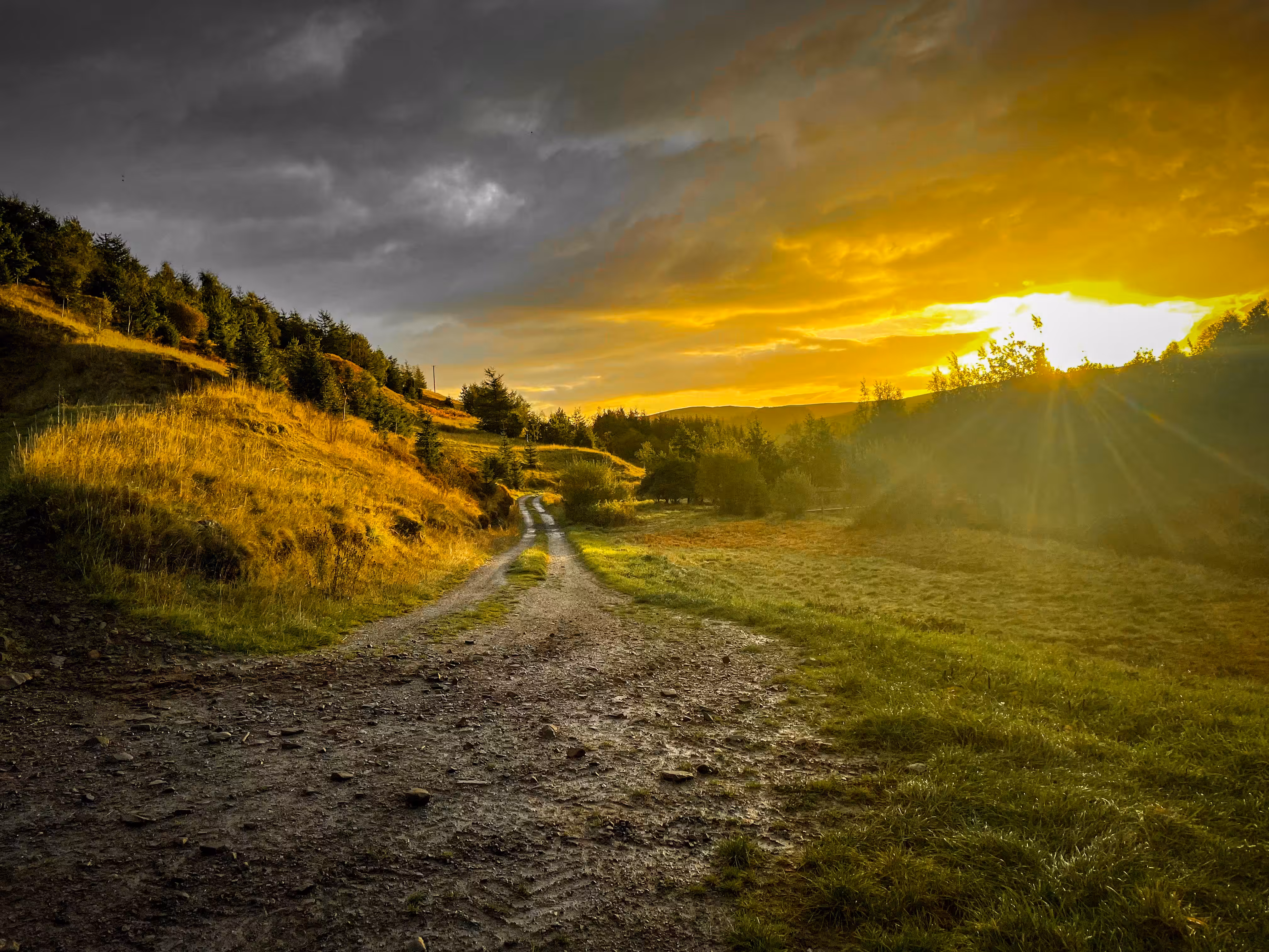 The Dawn